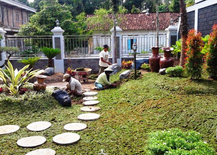 Tukang Taman Cisauk